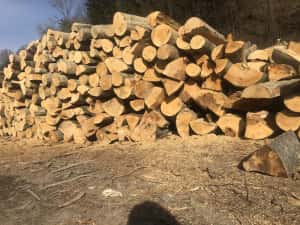 Vand lemn foc fag, și pe voucher de energie — miniatura 3