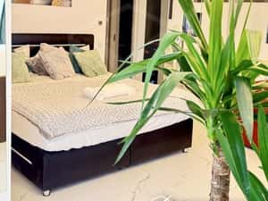 Apartament cu 1 camera, ultrafinisat mobilat si utilat, zona FSEGA - I — miniatura 4