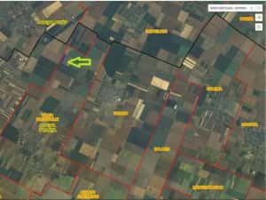 Teren agricol 1ha de vanzare Valea Macrisului, Ialomita — miniatura 7