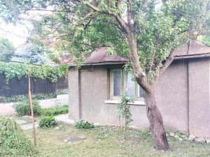 Tg.Cucu-P.Fier - Proprietar, vand teren cu casă bătrânească, 267 mp, str.ALBINEȚ, C.U P+1 — miniatura 5