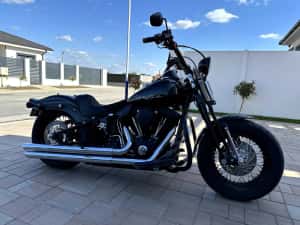 Harley Davidson Crossbones Softail