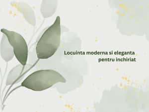 Tomin III- 3 camere etajul 1, cu centrala pe gaz