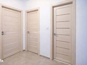 Apartament intabulat cu 2 camere mobilat si utilat in Bucium-Visani — miniatura 4
