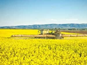 PORTOFOLIU AGRICOL PREMIUM 3.000 HA SUDUL ROMÂNIEI OPORTUNITATE INVESTIȚIONALĂ — miniatura 5