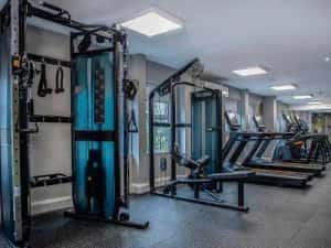 Aparate MATRIX FITNESS , 2 ani garantie , RATE FARA AVANS — miniatura 2