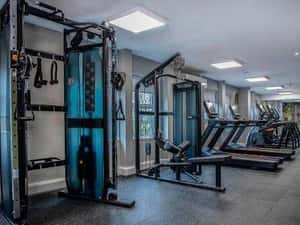 Aparate MATRIX FITNESS , 2 ani garantie , RATE FARA AVANS — miniatura 3