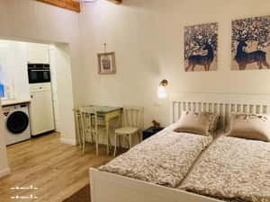 Studio modern de inchiriat, str. Horea
