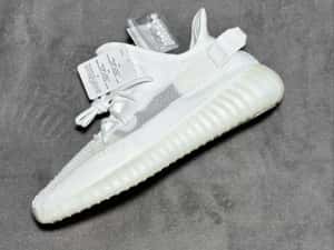 Yeezy 350 Bone (PREMIUM) — miniatura 2