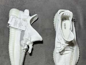 Yeezy 350 Bone (PREMIUM) — miniatura 3
