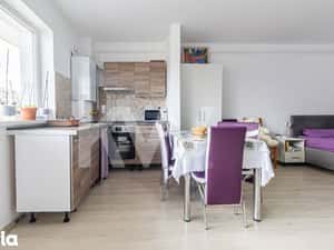 STUDIO MODERN SUBCETATE- MOBILAT SI UTILAT — miniatura 5