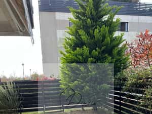 3 camere Natura Residence Baneasa I 3 bai I 2 parcari + boxa I COM 0% — miniatura 5