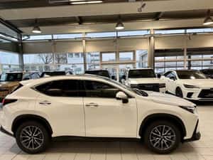 Lexus NX 450h PLUG IN HYBRID - EXECUTIVE — miniatura 6