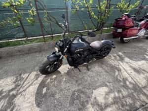 Indian scoot bober — miniatura 6