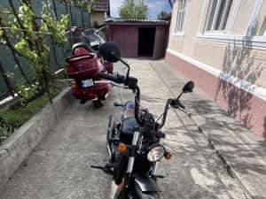 Indian scoot bober — miniatura 9