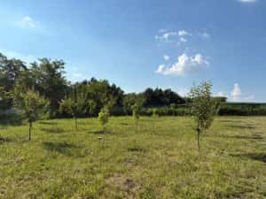 Teren intravilan, 695mp, 28m deschidere,drept, Valea Lupului! — miniatura 2