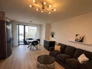 Apartament 2 camere 54mp, balcon, parcare, finisat modern, Brancusi — miniatura 3