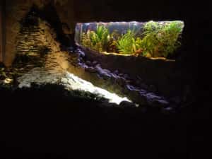 Construim la comandă acvariu de apă dulce și marin de dimensiuni mari. — miniatura 3