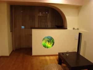 Construim la comandă acvariu de apă dulce și marin de dimensiuni mari. — miniatura 8