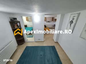 Apartament 2 camere de inchiriat Cismigiu Bucuresti | ApexImobiliare.r — miniatura 5