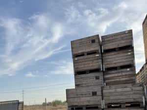 Boxpaleti lemn , boxpaleti fructe — miniatura 5