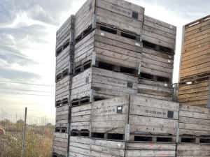 Boxpaleti lemn , boxpaleti fructe — miniatura 6