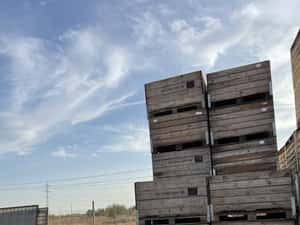 Boxpaleti lemn , boxpaleti fructe — miniatura 9