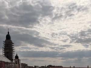 Audi a5 f5 cabrio — miniatura 5