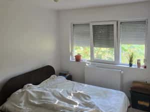 Apartament 3 camere parter cu balcon din constructia blocului Circumvalatiunii Favorit amenajat — miniatura 9