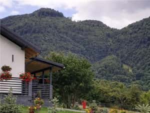 Vila rezidential unitate de ospitalitate, 1.000mp teren, Bran, Tohanita, Brasov — miniatura 8