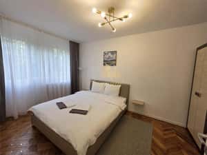 TAKE IONESCU, Apartament 2 camere RENOVAT, parter, clima