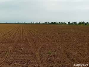 Teren intravilan industrian 16.500 mp , Deschidere 27 ml — miniatura 1