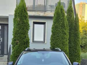 Vand Vw Golf VII 7 2.0 Tdi 150cp euro 6 Dsg Germania !! — miniatura 3