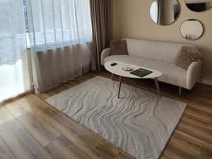 Studio 41 mp în zona Herăstrău – Aviației | Comision 0 — miniatura 5