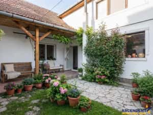 FILM! Casa primitoare in centrul orasului Targu Secuiesc — miniatura 1