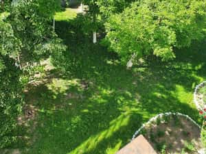 Apartament 2 camere – Beiuș | Balcon cu vedere spre dealuri — miniatura 3