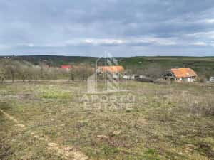 Teren intravilan pentru investitie, 2896 mp, Herneacova Timis — miniatura 4