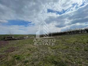 Teren intravilan pentru investitie, 2896 mp, Herneacova Timis — miniatura 5