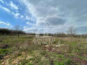 Teren intravilan pentru investitie, 2896 mp, Herneacova Timis — miniatura 6