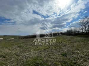 Teren intravilan pentru investitie, 2896 mp, Herneacova Timis — miniatura 7