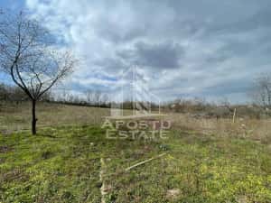 Teren intravilan pentru investitie, 2896 mp, Herneacova Timis — miniatura 8