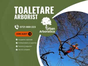 Toaletare Copaci Arbori - Ingrijire arbori Pomi Fructiferi Garduri Vii — miniatura 9