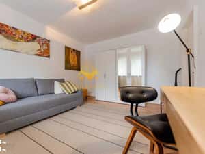 1 camera, mobilat modern, Pet Friendly, Grigorescu, Zona Parcul Rozelo — miniatura 3