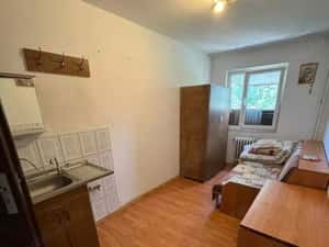 Camera de camin Valea Rosie — miniatura 5