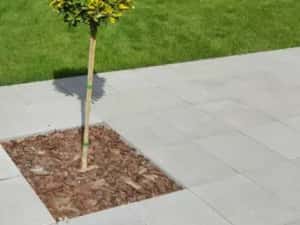 Gazon Rulou de Calitate – Totul Inclus, Fără Bătăi de Cap — miniatura 3