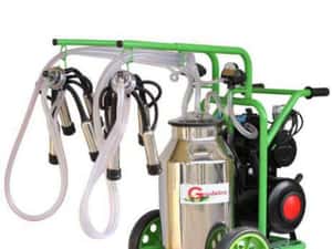 Aparate / aparat masina de muls vaci mulgatoare mulgatori capre si oi