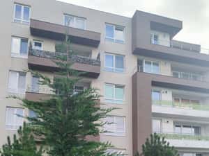 Apartament premium 3 camere | Etaj 1 | Parcare | Cristian-Brasov — miniatura 3