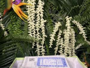 OFF-White Odsy 1000 Black — miniatura 8