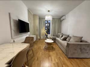 apartament decomandat de inchiriat cu 2 camere  in Soseaua Nordului — miniatura 3