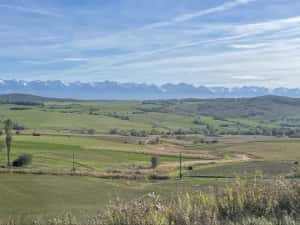 Vand 2 ha teren agricol — miniatura 1