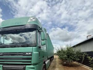 DAF EEV 460 + BERGER 2012 — miniatura 2